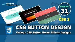 CSS Button Hover Effects Design With Animation Session 31  Tutor Pratik