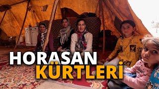 I am in the Kurdish nomads tent in North Khorasan Iran