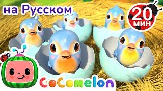 Пять маленьких Птенцов  CoComelon на русском — Детские песенки