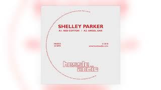 Shelley Parker - Masonry Pier Hessle Audio