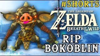 Zelda Breath of the Wild - RIP Bokoblin