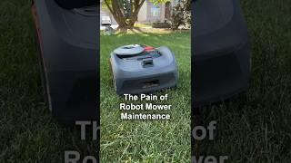 My Painful Robot Lawn Mower Maintenance Experience