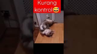 kurang kontrol 