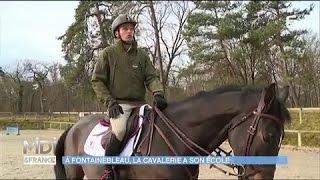 Centre d’équitation militaire  des chevaux formés par des champions