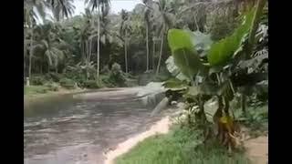 Shocking Video Sudden Flash Flood in a River in Kerala India due to Landslides