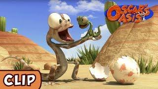 Oscars Oasis - Baby Lizard  HQ  Funny Cartoons