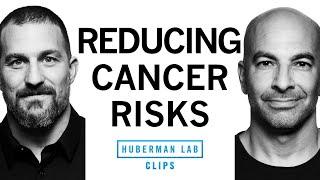 Understand Cancer & Reduce Cancer Risk  Dr. Peter Attia & Dr. Andrew Huberman