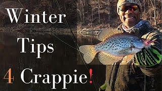 Winter Crappie Fishing Tips Uncover the Secret of Stump Stacked Crappies