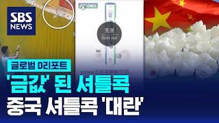 금값 된 셔틀콕…중국 셔틀콕 대란  SBS  #D리포트