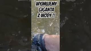 TAKA WALKA TO PRZYJEMNOŚĆ  #walka #fyp #shorts #top #fishing #viralvideo #video #scrap #musicremix