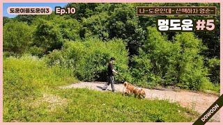 Helping DOWOON3 Ep.10 DoggyDOWOON #5