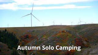 Solo fall camping  How beautiful autumn in Canada part 2