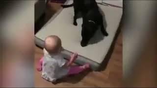 Bebes se divertindo com seus cachorrinhosGalera é D+++