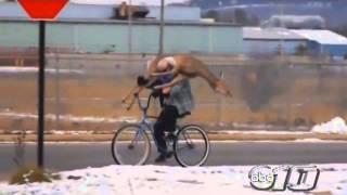 Man rides bike while carrying a deer