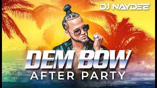 El Alfa Rochy RD Chimbala Bulin 47  Dembow Mix 2021 - 2020  After Party By DJ Naydee