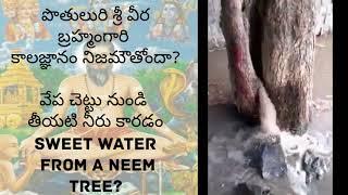 పొతులురి శ్రీ వీర బ్రహ్మంగారి కాలజ్ఞానం - వేప చెట్టు నుండి నీరు  Water from a Neem tree