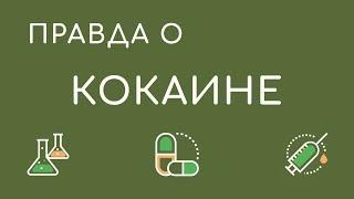 Кокаин - истории употребления наркотиков бывшие наркоманы отзывы наркоманов