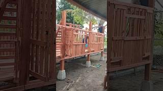 kandang kambing 6x15meter Bantul Jogja #videoshort #shortvideo #shorts