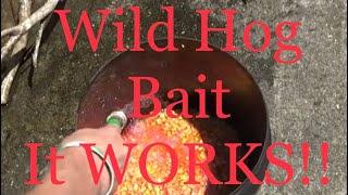 Hog Bait that WORKS - Sour Corn Recipe