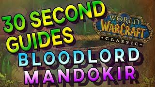 Bloodlord Mandokir - 30 Second Guides - ZulGurub