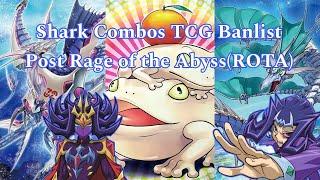 Shark Combos TCG Banlist Post Rage of the AbyssROTA  Edopro  Yu-Gi-Oh by Arslan