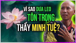 Vì sao Dưa Leo TÔN TRỌNG thầy Minh Tuệ? Dưa Leo DBTT