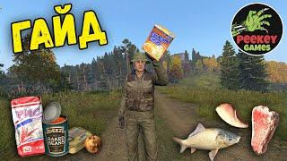 ГАЙД как не помереть с голоду в DayZ