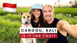 How is Living in CANGGU BALI Now in 2024 *Realistic* Vlog 49