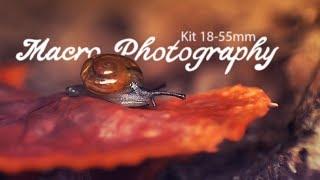 MACRO PHOTOGRAPHY INDONESIA - LENSA KIT 18-55MM