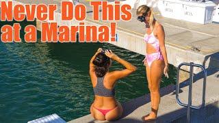 Never Jump in at a Marina