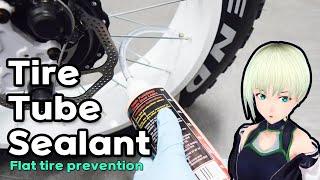 Preventing E-Bike Flats How to Use Tire Sealant 