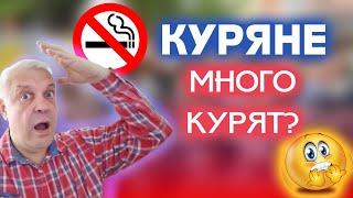 Курск А трудовые резервы бегут?....