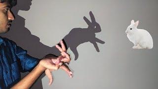 How to Make Shadow Puppets With Your Hand   Very Interesting Ideas  Part  3 Shadow Animals