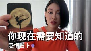 你现在需要知道的！【无限时感情占卜】