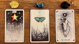 YOU WILL SEE THIS WHEN YOU ARE READY   Pick a Card Tarot Reading