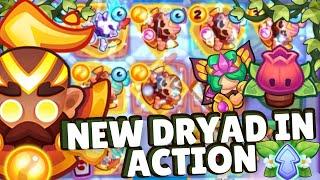 New Dryad in Spring Marathon  Max Monk vs Max Bruiser  Rush Royale