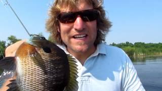 Fishing Spawning Bluegill on Beds