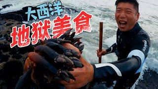 全球最贵的海鲜之一：1公斤8000元，为了钱用生命去捕捞！（密集恐惧症慎看！） 韩船长CaptainHan