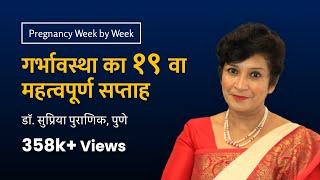 गर्भावस्था का १९ वा सप्ताह  19th week - Pregnancy week by week  Dr. Supriya Puranik Pune