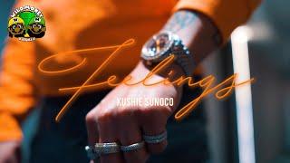 KUSHIE SUNOCO - FEELINGS Official Video