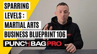 Martial Arts Business - 106 - Training - Sparring Levels