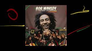 Exodus – Bob Marley and The Chineke Orchestra Visualizer