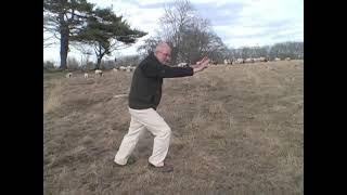 Tai Chi Sheep