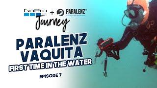 The New Paralenz Vaquita  Review After First Two Dives  My GoPro & Paralenz Journey E7