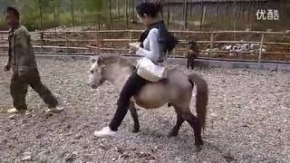 horse riding 4