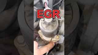 Mechanic States Chevy EGR Valve?