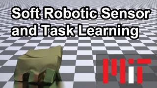 Co-Learning of Task and Sensor Placement for Soft Robotics Teaser
