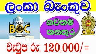 ලංකා බැංකු රැකියා ඇබෑර්තු  BOC vacancies 2024  government job vacancies in Sri Lanka 2024