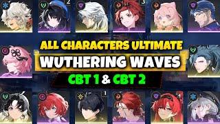 All 18 Playable CHARACTERS & ULTIMATES Wuthering Waves