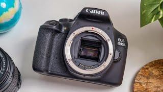 Canon EOS 2000D Rebel T7  Should you get the CHEAPEST DSLR in 20222023?